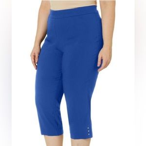 💙Counterparts Plus Size Capri💙